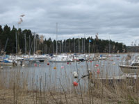 blynsvikens-btklubb